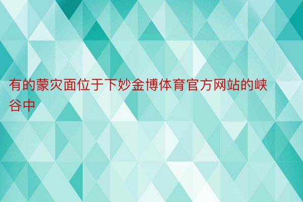 有的蒙灾面位于下妙金博体育官方网站的峡谷中