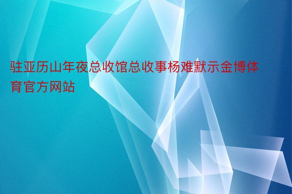 驻亚历山年夜总收馆总收事杨难默示金博体育官方网站