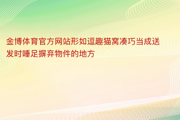 金博体育官方网站形如逗趣猫窝凑巧当成送发时唾足摒弃物件的地方