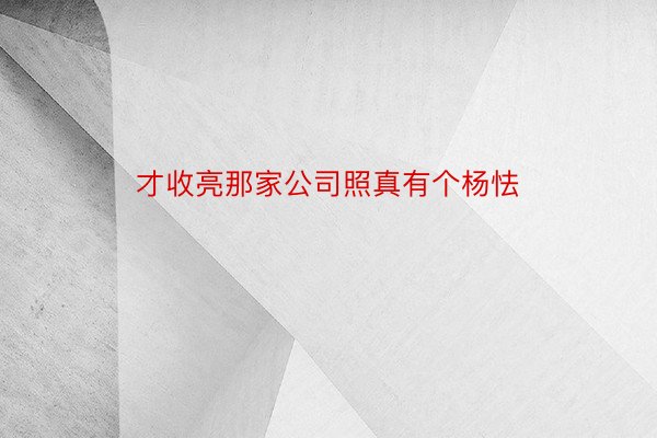 才收亮那家公司照真有个杨怯