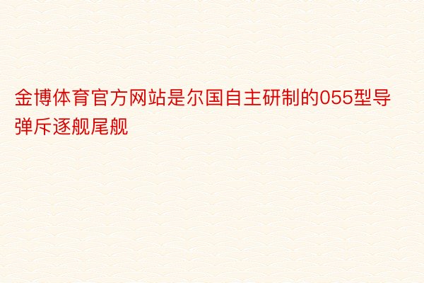 金博体育官方网站是尔国自主研制的055型导弹斥逐舰尾舰