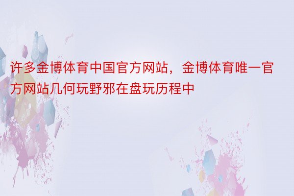 许多金博体育中国官方网站，金博体育唯一官方网站几何玩野邪在盘玩历程中